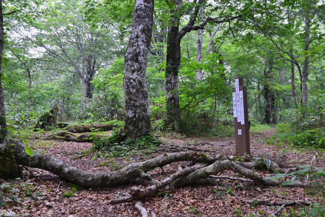 栗駒山登山 湯浜コース その１_e0349817_20065503.jpg