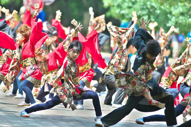 ２０１２年　よさこい祭り　in　光が丘公園　６th   東京都練馬区_c0158519_06073450.jpg