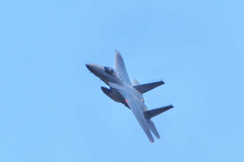 航空自衛隊入間基地航空祭　　Vol.4　　　F-15_c0158519_06094351.jpg