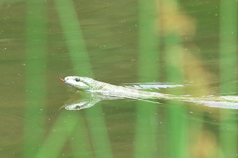 c0158519_06112276.jpg