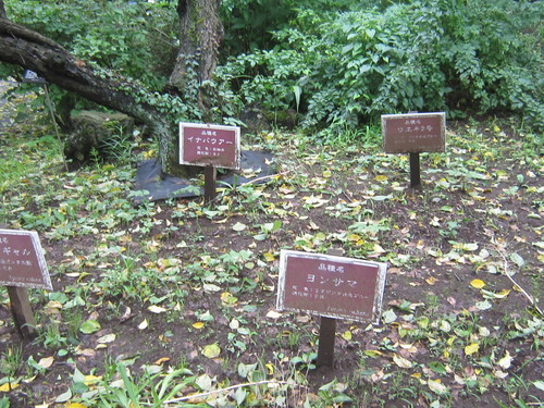 ♪親子3代で行く★小田原散策(前半)_d0162225_22152912.jpg