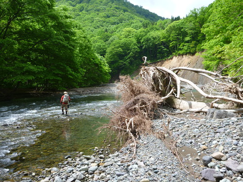 今年も恒例の東北遠征　2015　5月20～23日_b0195927_2332129.jpg