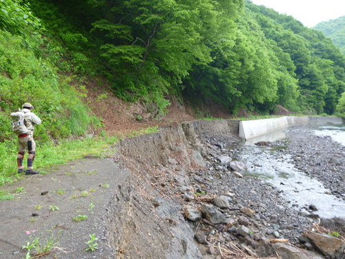 今年も恒例の東北遠征　2015　5月20～23日_b0195927_2385610.jpg