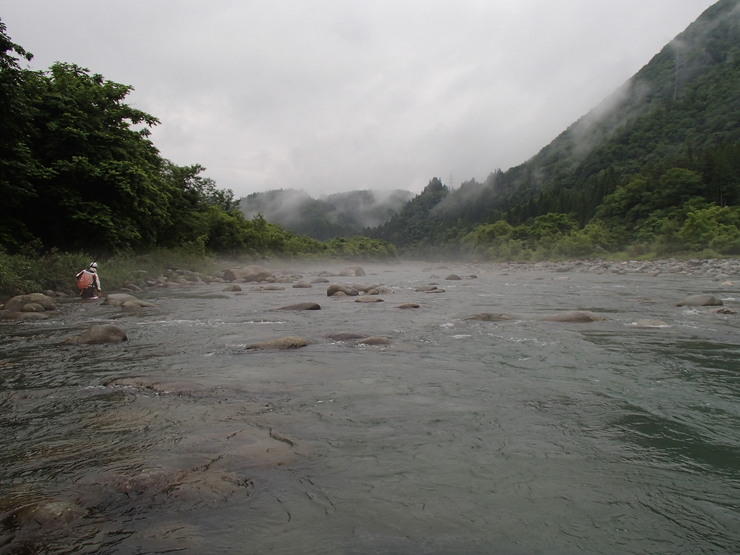 d0172227_1275443.jpg