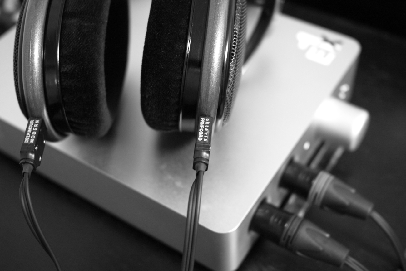 Sennheiser HD650 Delrimour Modernの私的レビュー：欠片を探して_e0267928_13233878.jpg