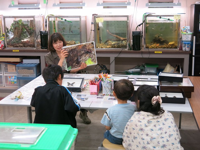 f0177529_21122635.jpg