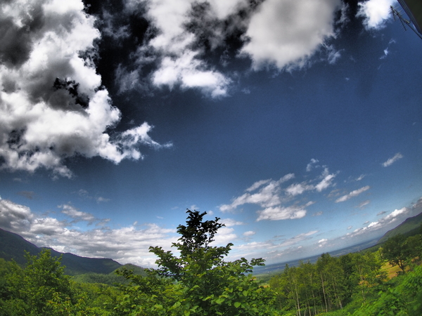 d0204437_1818833.jpg