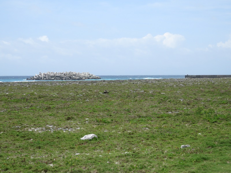 b0288942_8594435.jpg