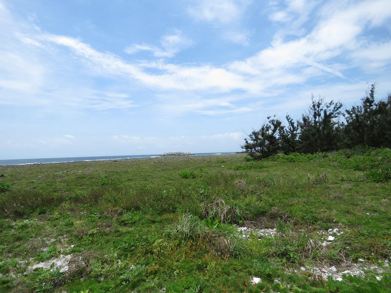 b0288942_90475.jpg