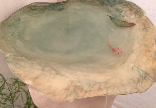 【神崎由梨個展〜ひそやかな楽園】に行ってきました!_a0017350_02415608.jpg