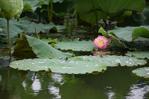 f0343750_202351.jpg