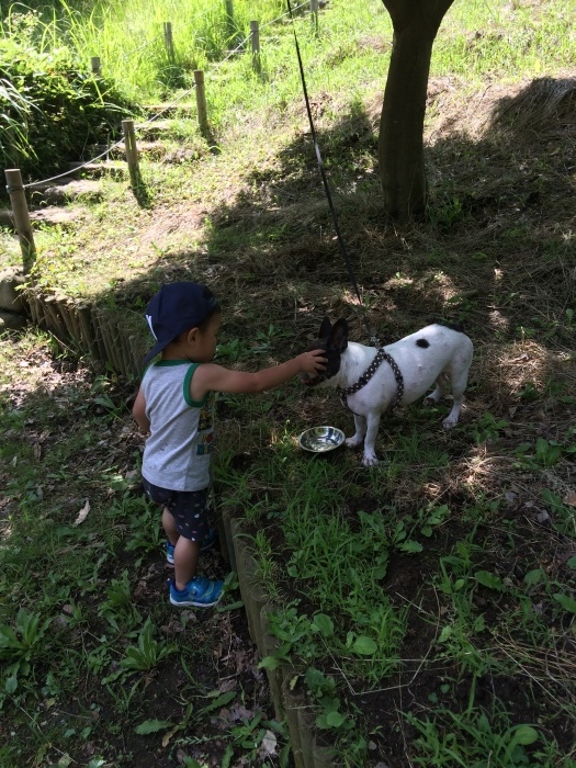 テントデビュー！茅ヶ崎里山公園（ワンコOK）_f0211752_08164336.jpg