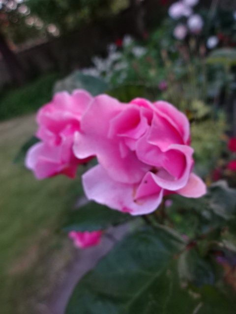 b0109054_18294974.jpg