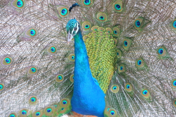 e0255060_00241539.jpg