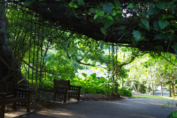 c0242063_14455059.jpg