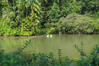 c0242063_14464744.jpg