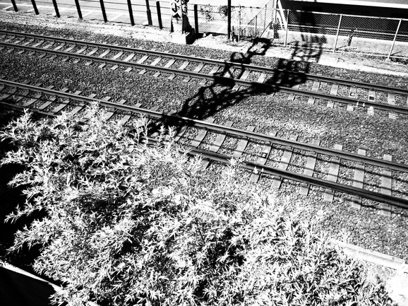 d0235865_945641.jpg