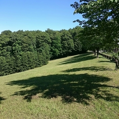c0311170_12145592.jpg