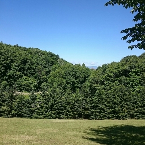 c0311170_12150169.jpg