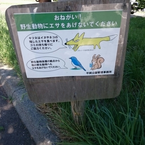 c0311170_12150579.jpg