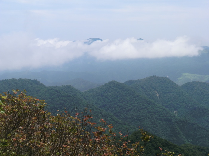 No398　360度の大展望・徳島矢筈山_b0185573_1394879.jpg