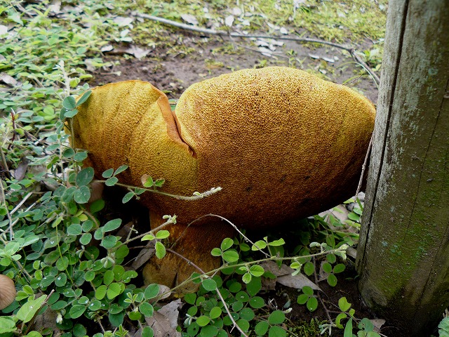 d0019074_19104392.jpg