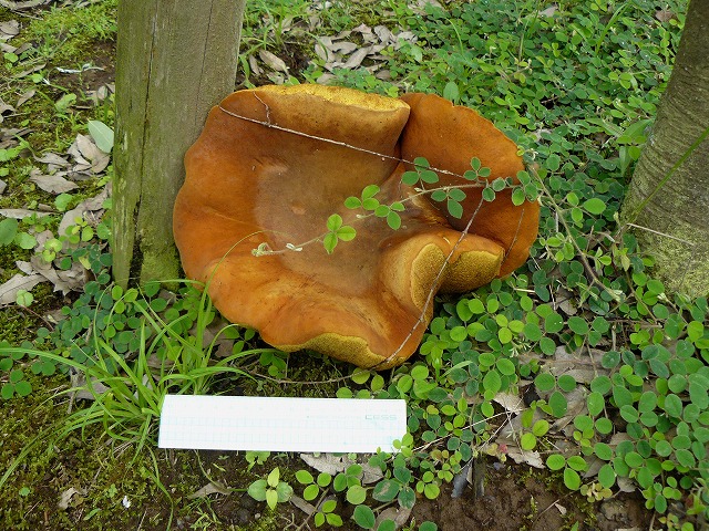 d0019074_191173.jpg