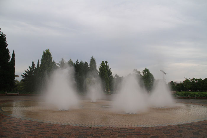 c0177785_549132.jpg
