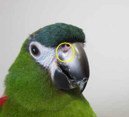 f0234590_921858.png