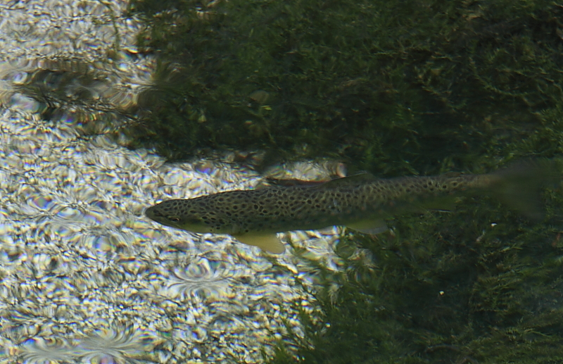 a0251508_16304665.jpg