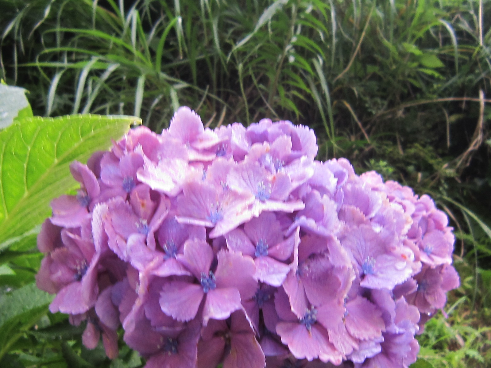 ♪親子3代で行く★小田原散策(後半)_d0162225_0192.jpg