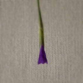 f0309325_16070828.jpg