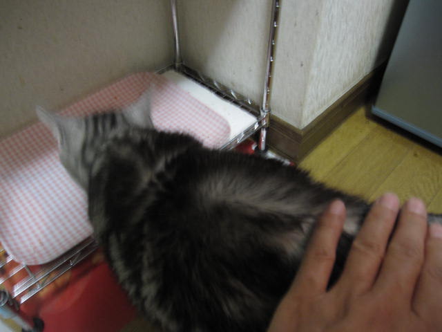 e0191826_23281999.jpg