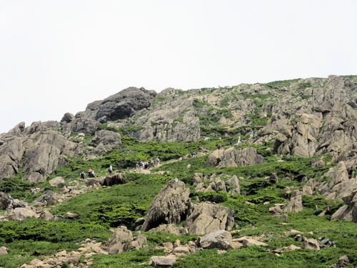 a0248728_17361054.jpg