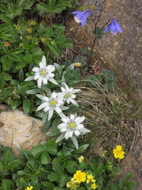 a0248728_17513567.jpg