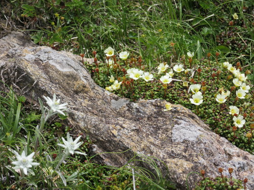 a0248728_18115747.jpg