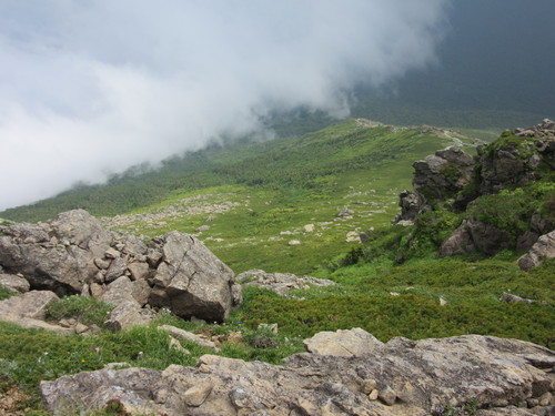 a0248728_18174597.jpg
