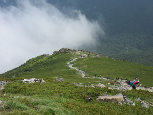 a0248728_18205366.jpg
