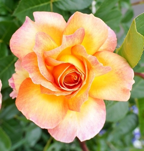 f0205733_23492589.jpg