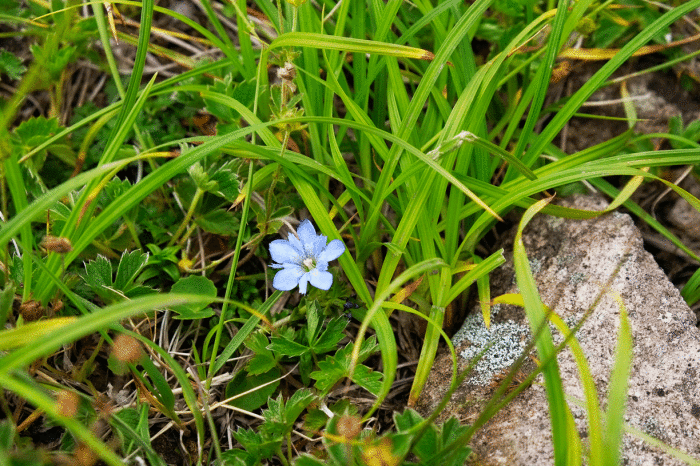 d0237340_13132569.gif