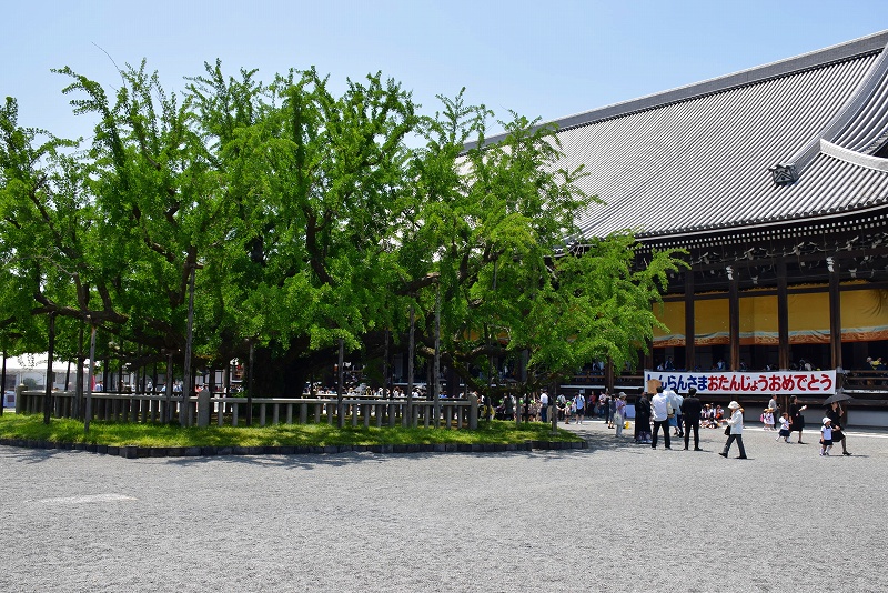 京都西本願寺「親鸞上人降誕会（ごうたんえ）」20150520_e0237645_10243479.jpg