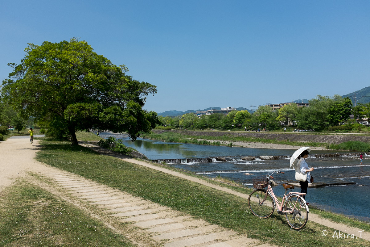 X100S で鴨川ワンコ散歩..._f0152550_2217150.jpg