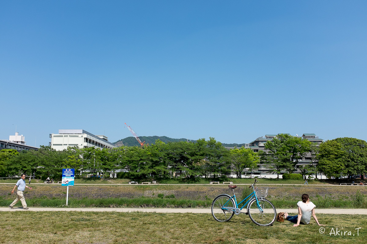 X100S で鴨川ワンコ散歩..._f0152550_22183334.jpg