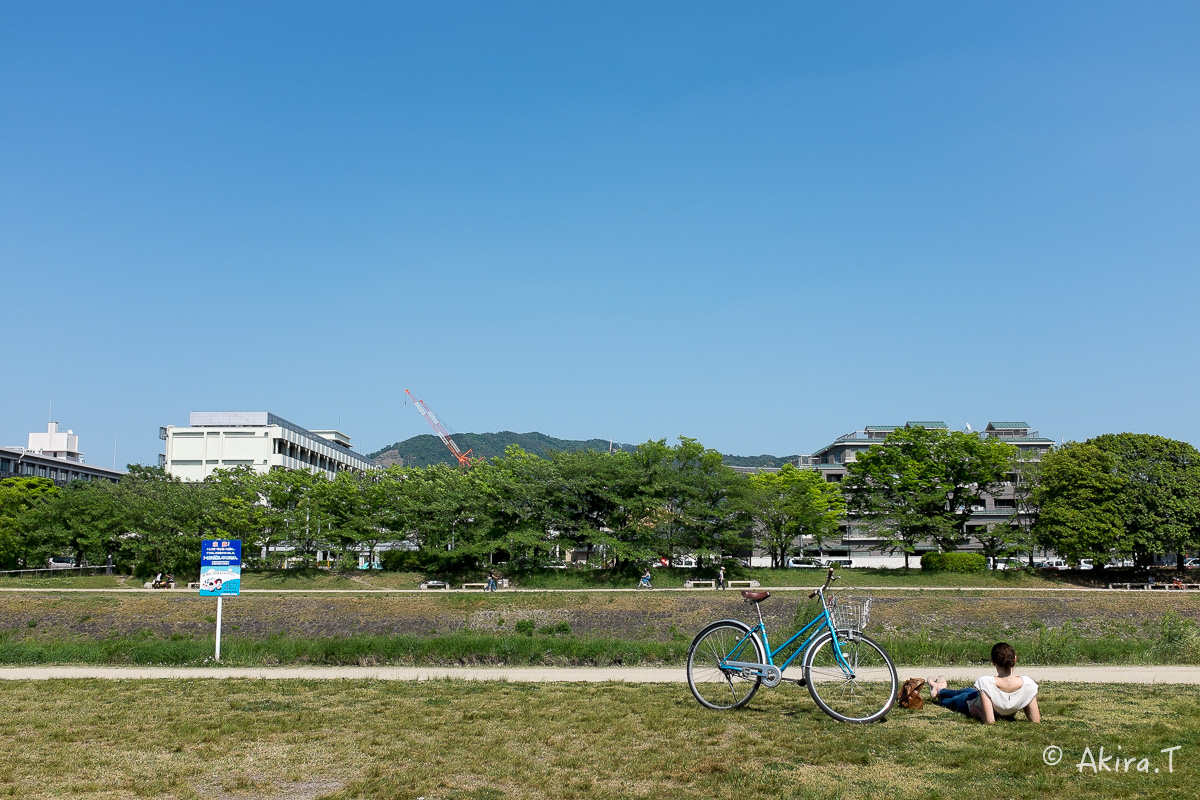 X100S で鴨川ワンコ散歩..._f0152550_22184995.jpg