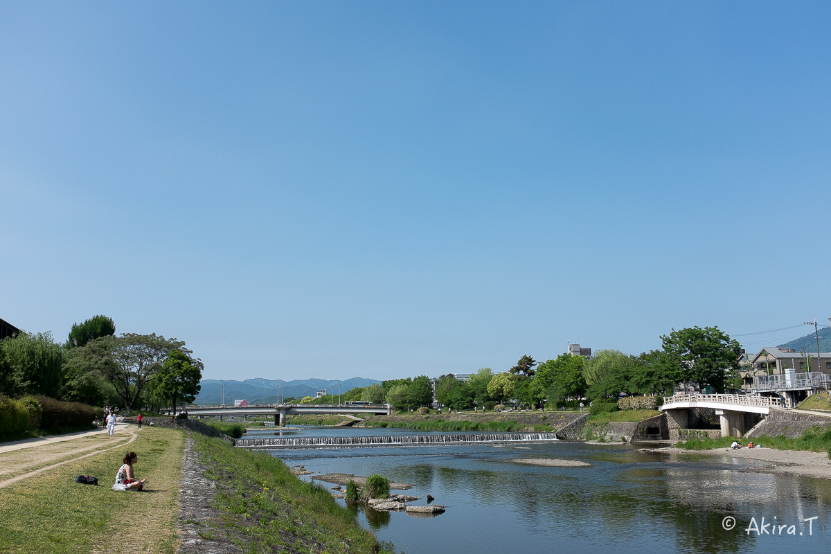 X100S で鴨川ワンコ散歩..._f0152550_22193615.jpg