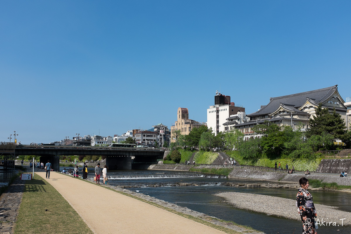 X100S で鴨川ワンコ散歩..._f0152550_22201310.jpg