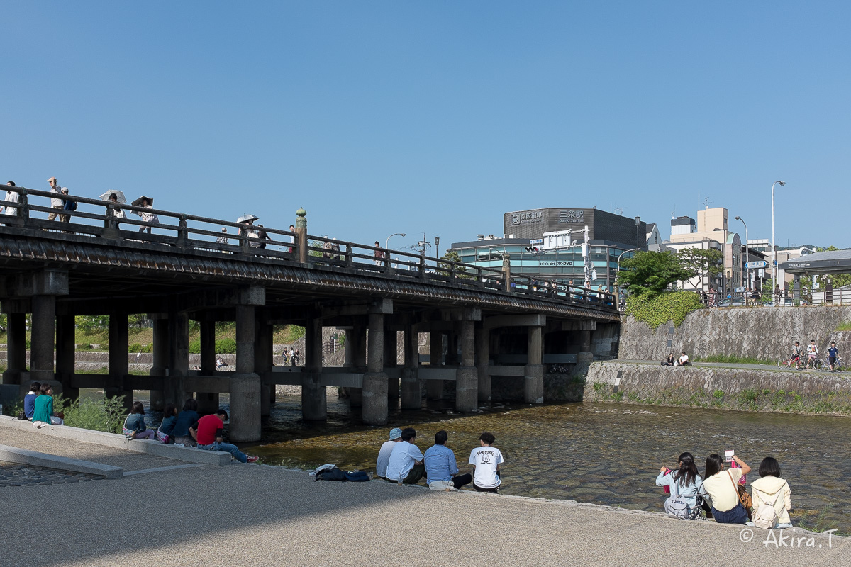 X100S で鴨川ワンコ散歩..._f0152550_22205027.jpg