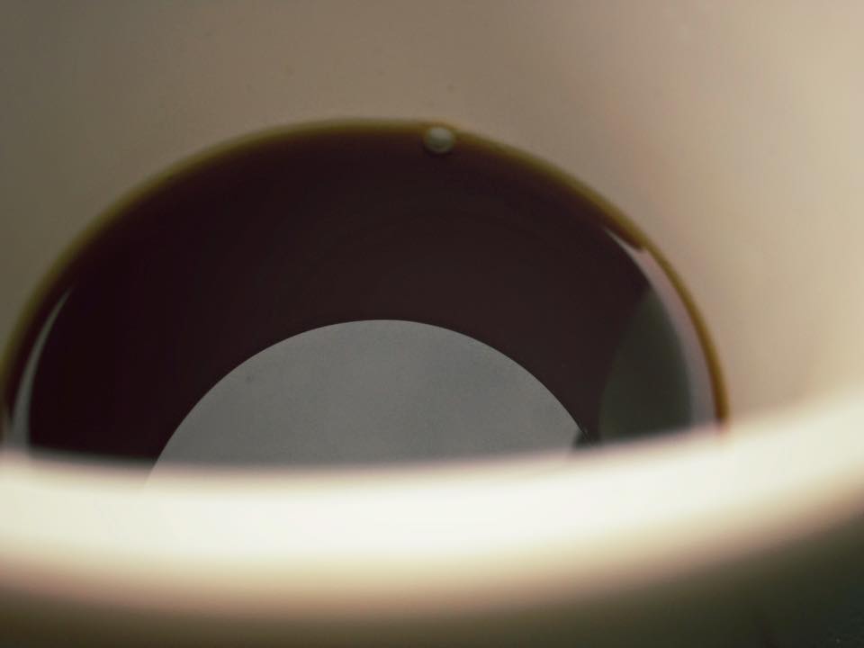 e0142357_1731850.jpg