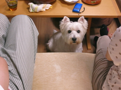 でんでん、図にのる。。_c0260460_10094153.jpg