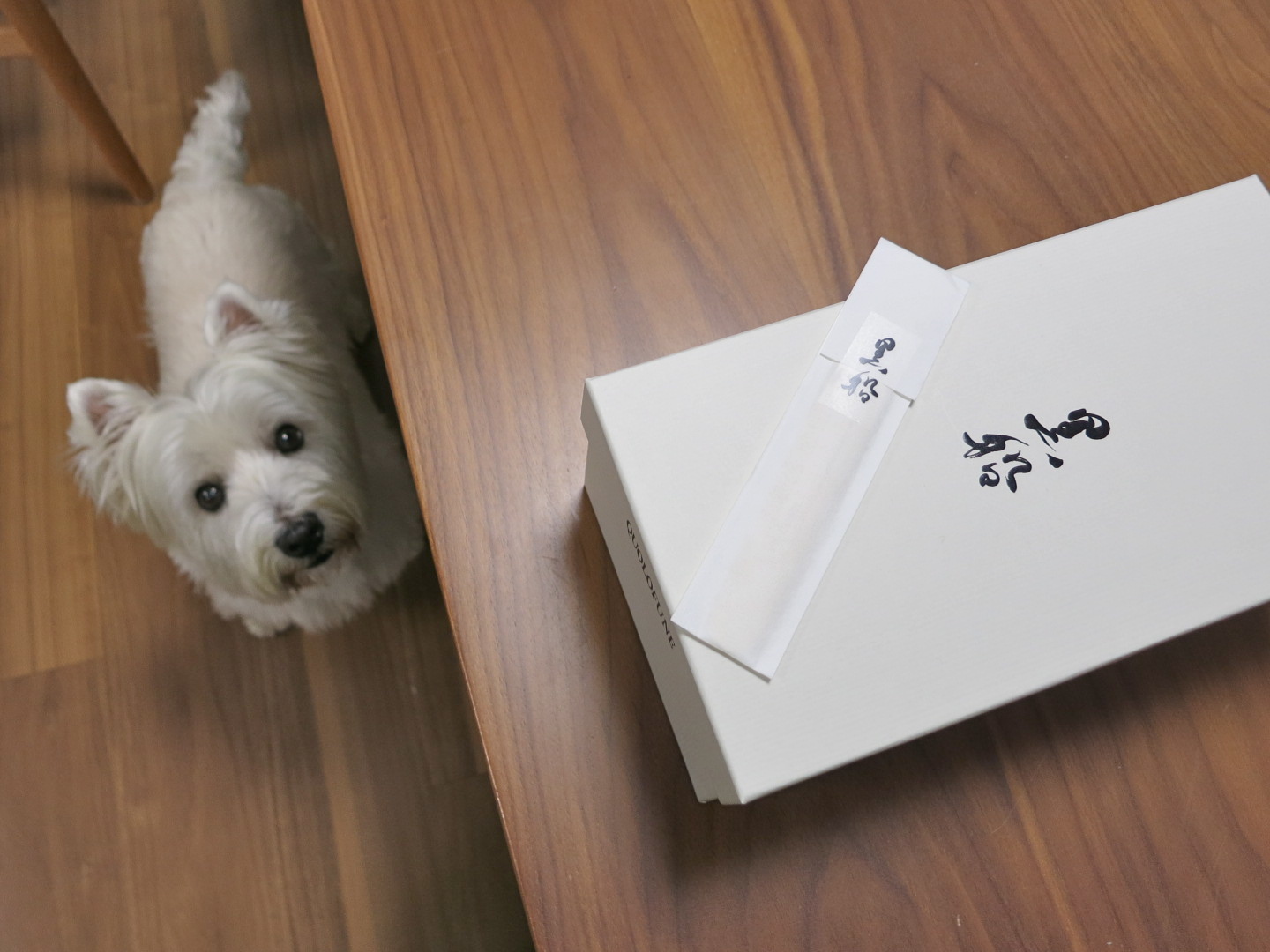 でんでん、図にのる。。_c0260460_10095222.jpg
